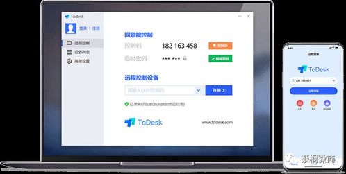 todesk 可以远程办公的远程软件
