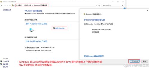文件加密软件有哪些 五款至尊级加密软件分享 2024人气爆款