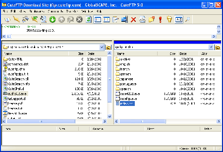 网络必备工具cuteftp 5.0 xp最终版亮相