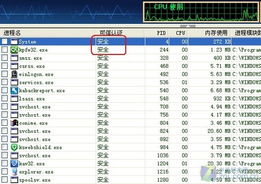 免费工具与专业杀毒软件的加密对决 技术PK与用户体验大比拼